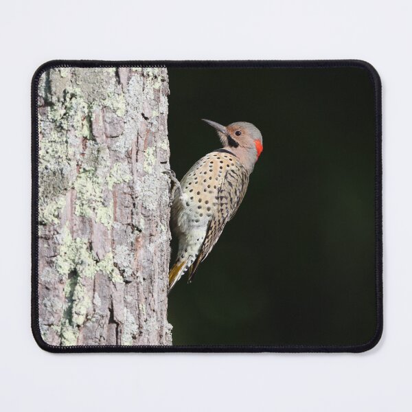 Item preview, Northern Flicker on a Tree designed and sold by LisaNaturePhoto.