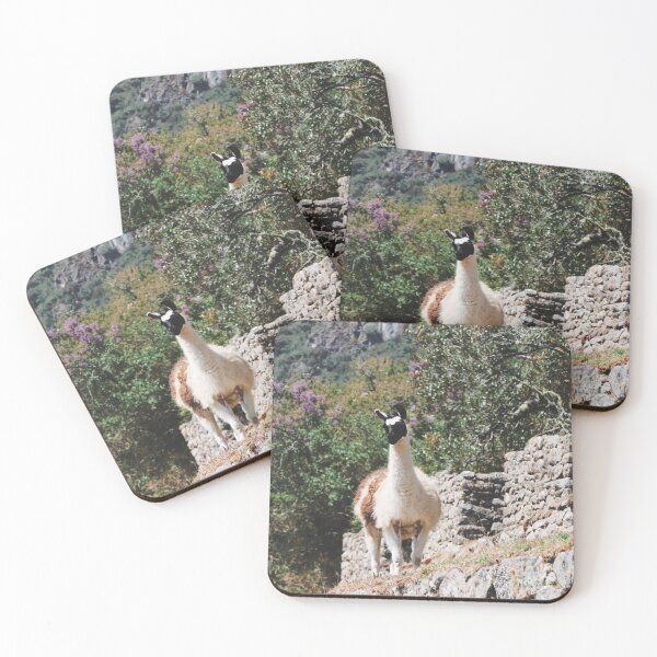 Item preview, Llama at Machu Picchu designed and sold by WildlifePics56.