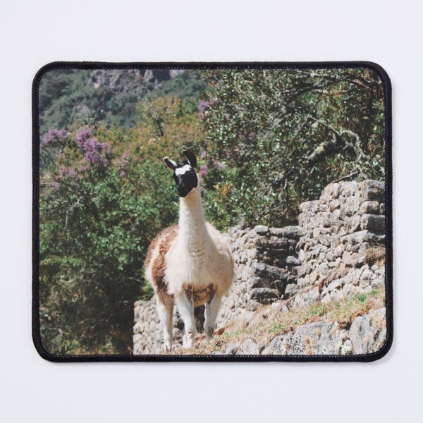 Item preview, Llama at Machu Picchu designed and sold by WildlifePics56.