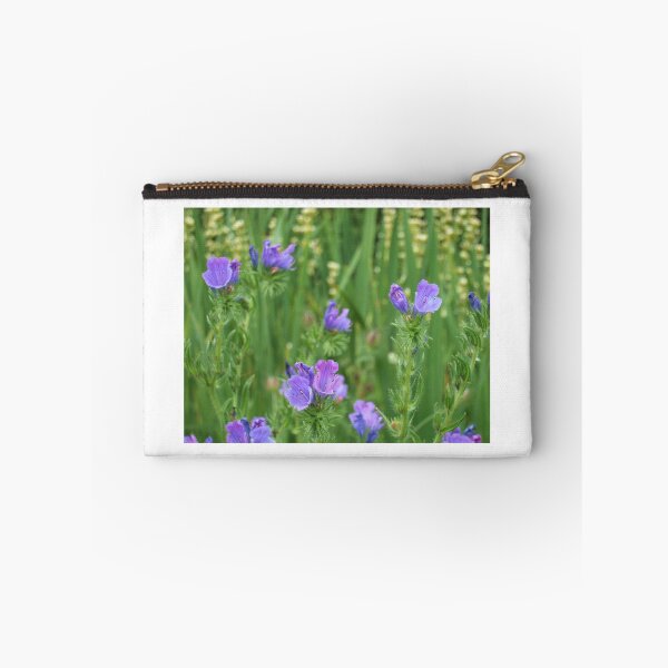 Item preview, Echium vulgare (Vipers Bugloss) designed and sold by Floral-Art.