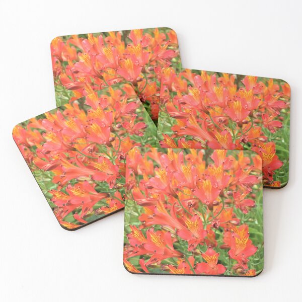 Item preview, Alstroemeria Flowers designed and sold by Floral-Art.
