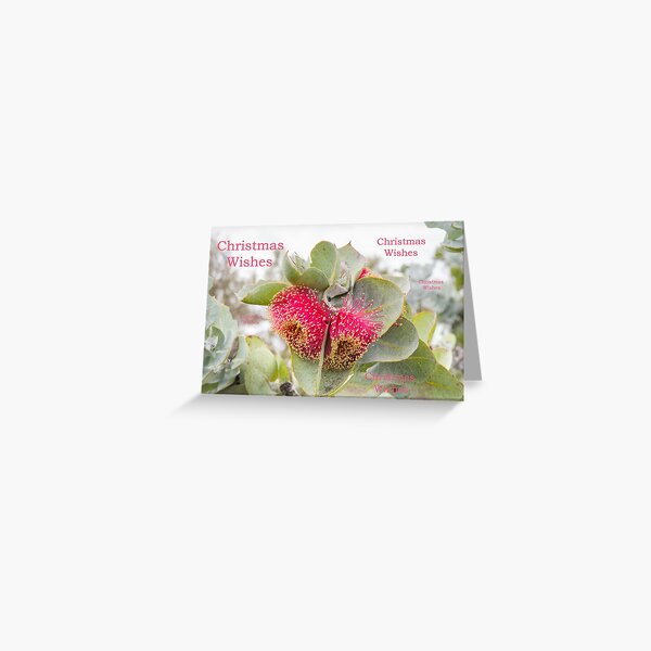 Eucalyptus rhodanthe Christmas card Greeting Card