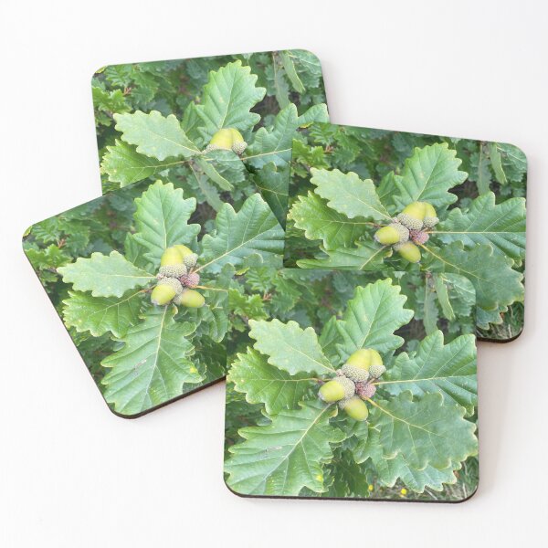 Item preview, Acorns designed and sold by KRainbird.