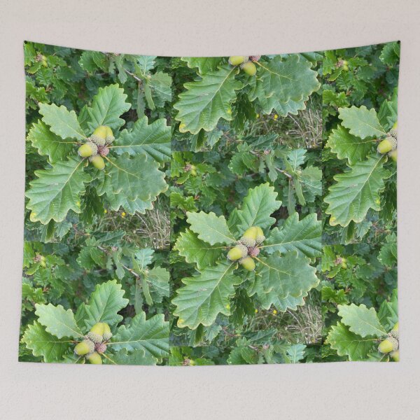 Item preview, Acorns designed and sold by KRainbird.