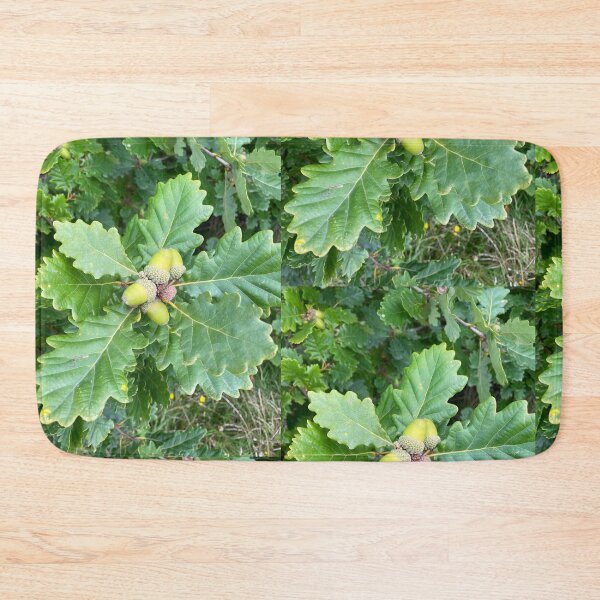 Item preview, Acorns designed and sold by KRainbird.