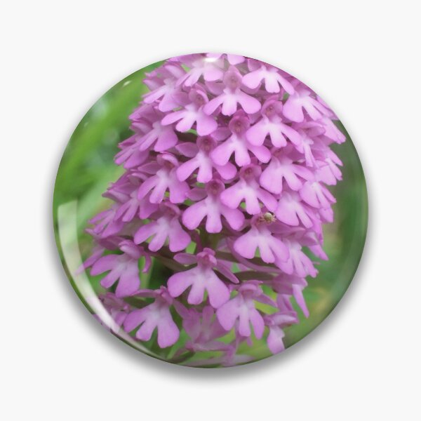 Item preview, Anacamptis pyramidalis designed and sold by Floral-Art.