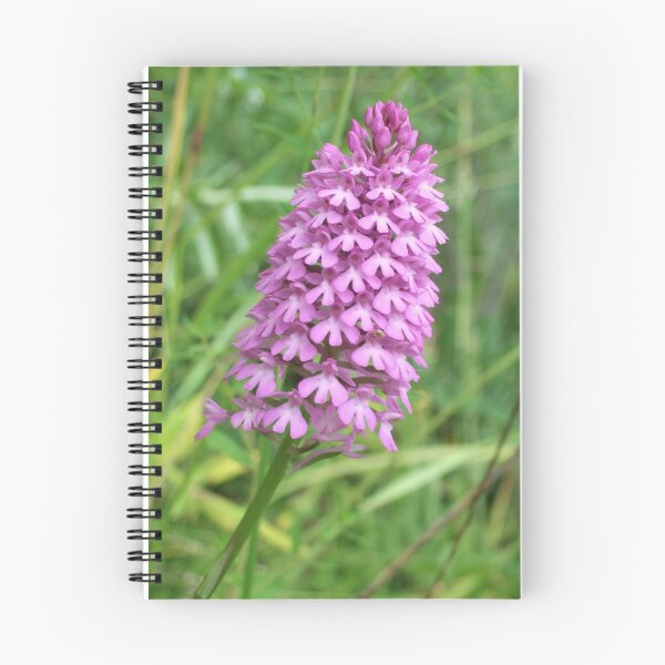 Item preview, Anacamptis pyramidalis designed and sold by Floral-Art.