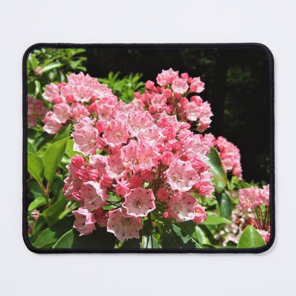Item preview, Kalmia latifolia designed and sold by Floral-Art.