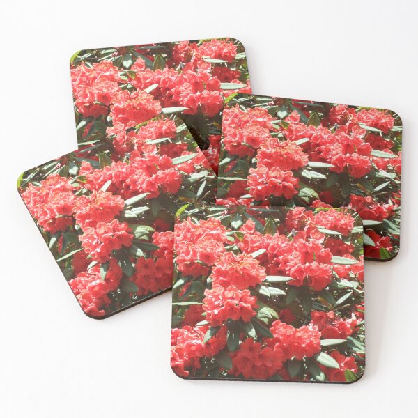 Item preview, Rhododendron Bush (RED) designed and sold by Floral-Art.
