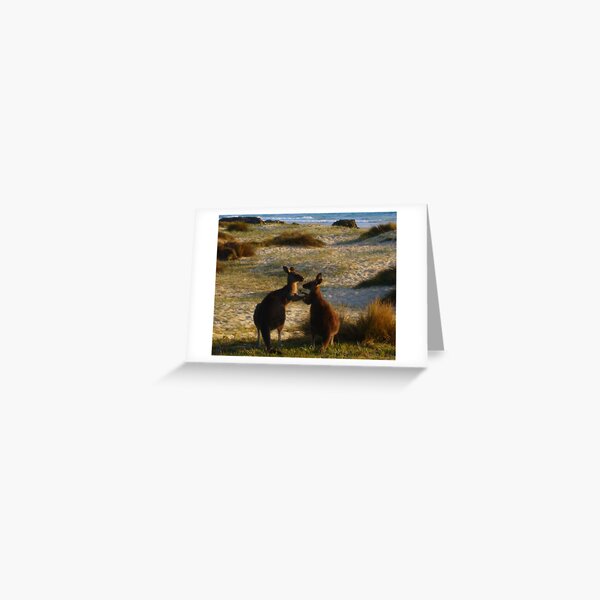 Item preview, Kangaroos times two designed and sold by Of Land and Ocean - Samantha Goode.