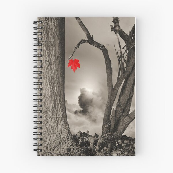 Item preview, Colour Me Red designed and sold by Christine Lake.