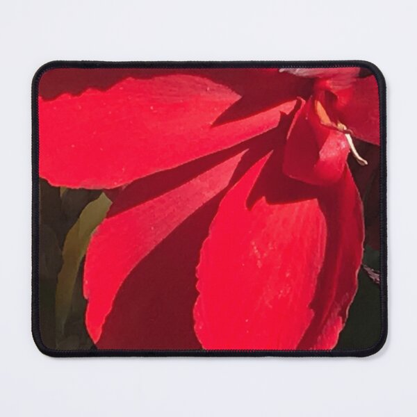Item preview, Scarlet Red Flower Close-Up Contemporary Photo Art designed and sold by DEC02.