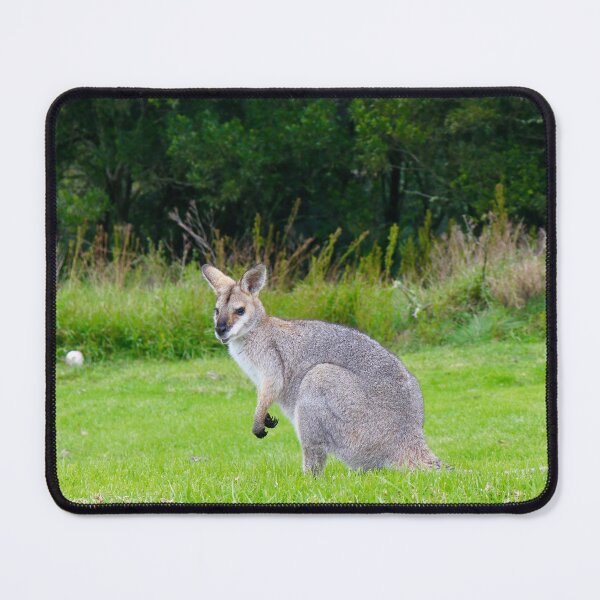 Item preview, Kangaroo of Bunya designed and sold by Bec Rose.