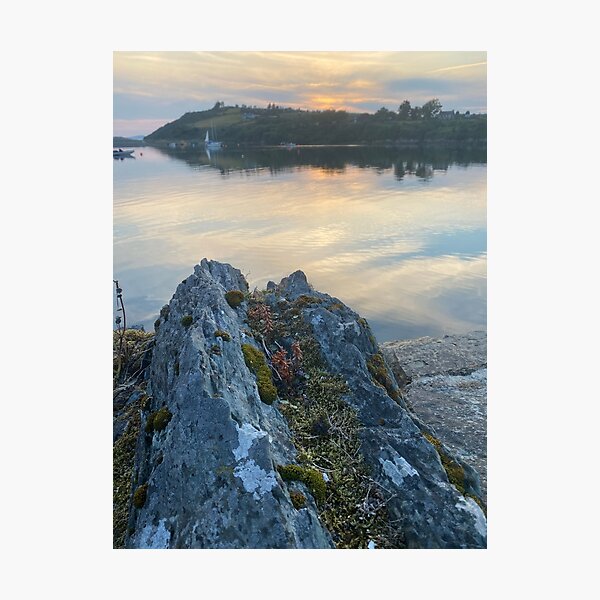 Item preview, Moss and lichen on rocks overlooking Kilmakilloge harbour designed and sold by Sinemathk.