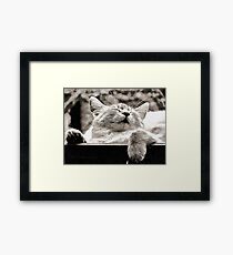 Stop Snoring Framed Print