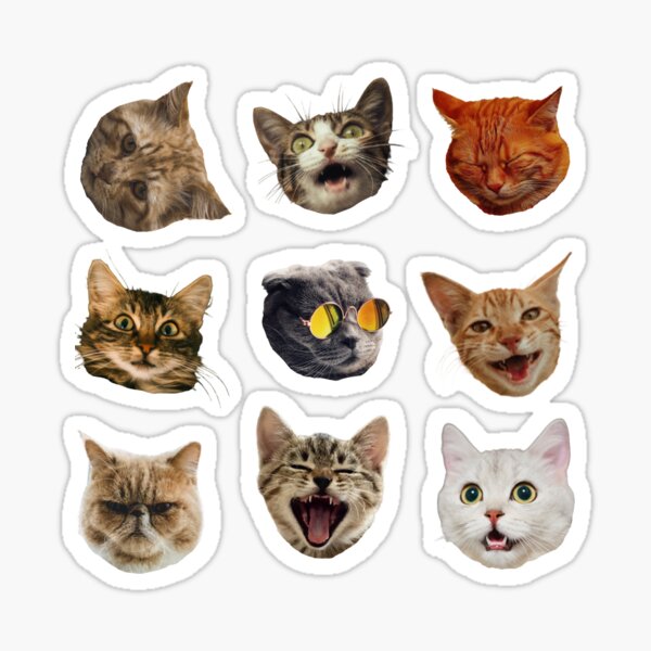 Angry Cat Emoji Sticker for Sale by rkbubble