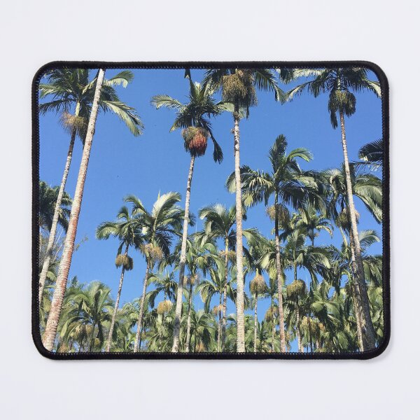 Item preview, palm tree nature designed and sold by Edu-Mendonca.