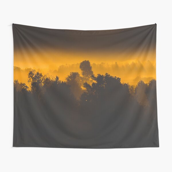 Sunrise behind foggy trees Tapestry