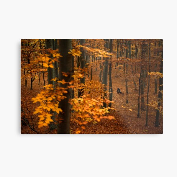 Autumn ride Metal Print