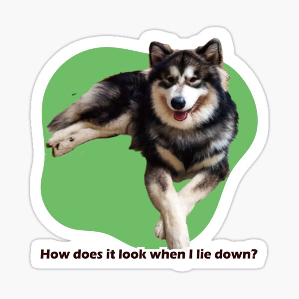 how-does-it-look-when-i-lie-down-sticker-for-sale-by-tsaodenis