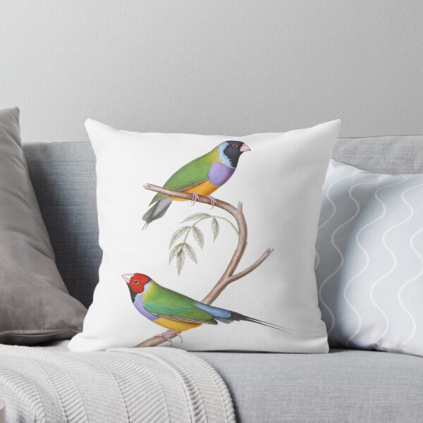 Item preview, Gouldian Finch Endangered Bird Australian - Vintage Illustration - John Gould designed and sold by karwilberevivalcollection.