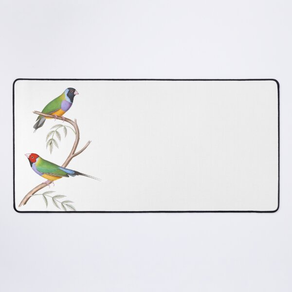 Item preview, Gouldian Finch Endangered Bird Australian - Vintage Illustration - John Gould designed and sold by karwilberevivalcollection.