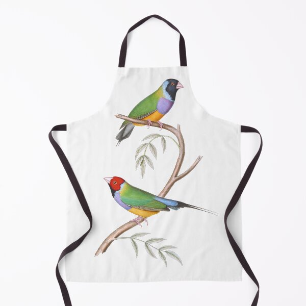 Item preview, Gouldian Finch Endangered Bird Australian - Vintage Illustration - John Gould designed and sold by karwilberevivalcollection.