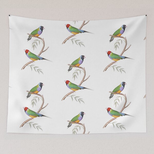 Item preview, Gouldian Finch Endangered Bird Australian - Vintage Illustration - John Gould designed and sold by karwilberevivalcollection.