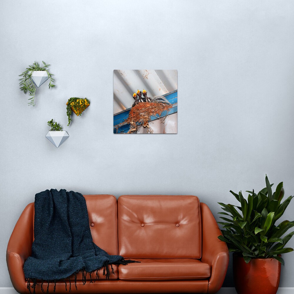 Feed Me! Metal Print