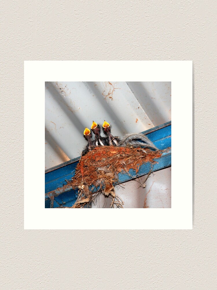 Alternate view of Feed Me! Art Print