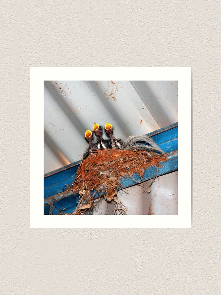 Alternate view of Feed Me! Art Print