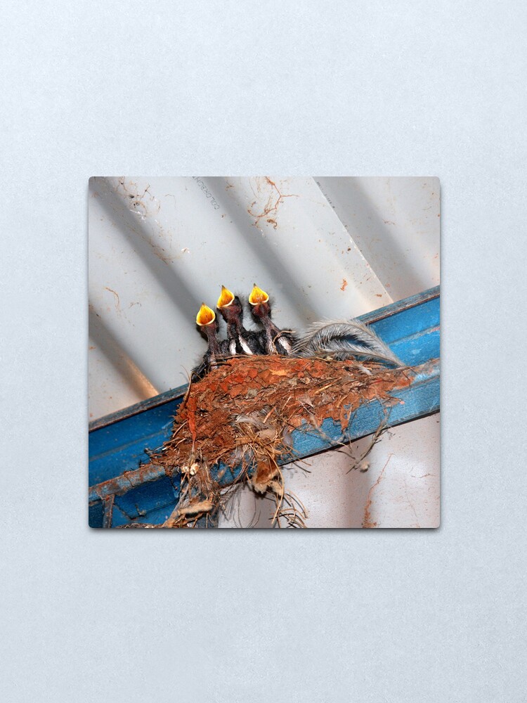 Alternate view of Feed Me! Metal Print