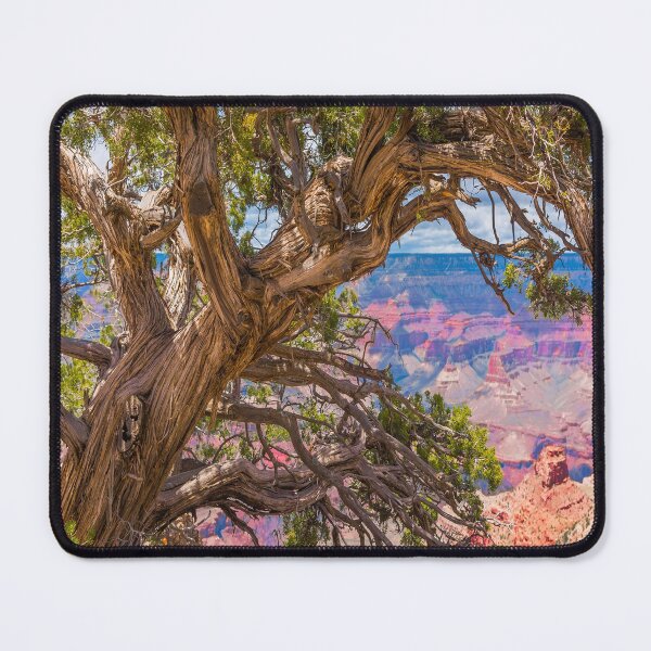 Item preview, Beauty Beyond the Trees designed and sold by JohnDSmith.