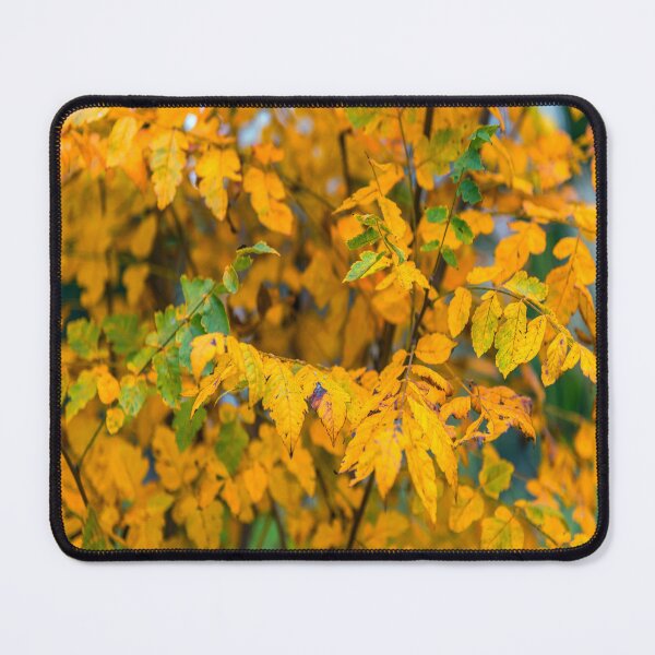 Item preview, Fall Pattern`s 2018 designed and sold by JohnDSmith.