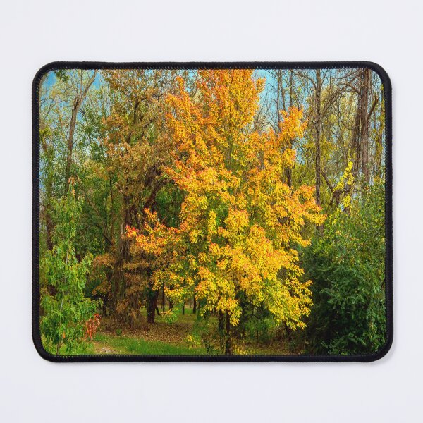 Item preview, Maple 11/3/18 designed and sold by JohnDSmith.