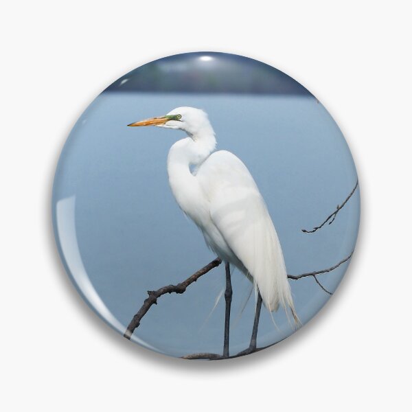 Item preview, A Great Egret Standing designed and sold by BackyardBirder.
