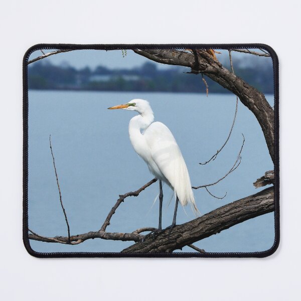 Item preview, A Great Egret Standing designed and sold by BackyardBirder.