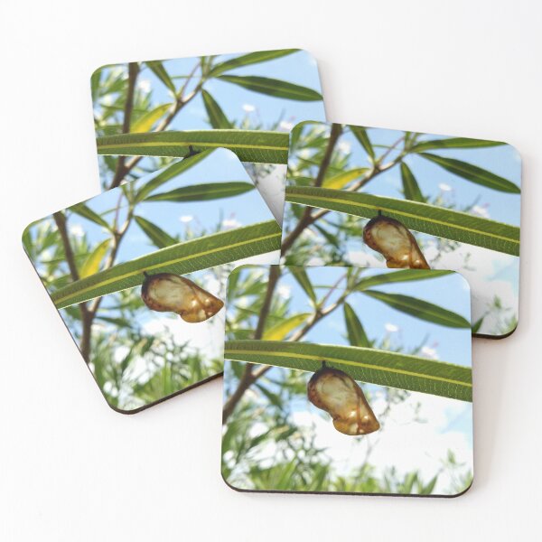 Item preview, In the Beginning designed and sold by Jimbo McCoy.