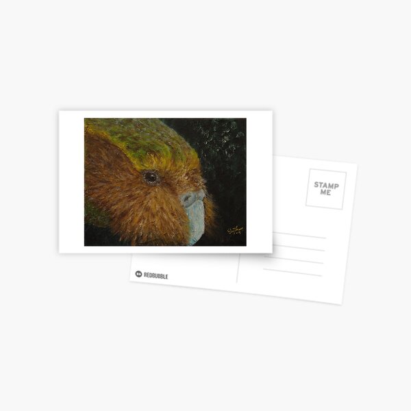 Kakapo (Strigops habroptilus) Postcard