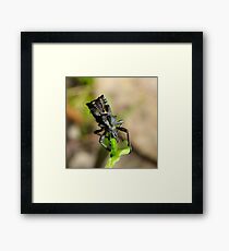 If Mad Max made insects Framed Print
