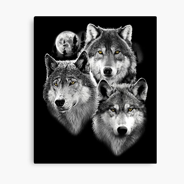 Three Gray Wolves in Moonlight