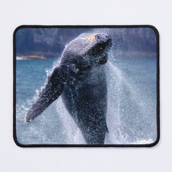 Item preview, Whales can fly! designed and sold by James (820Photography) Anderson.