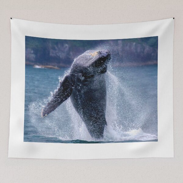 Item preview, Whales can fly! designed and sold by James (820Photography) Anderson.