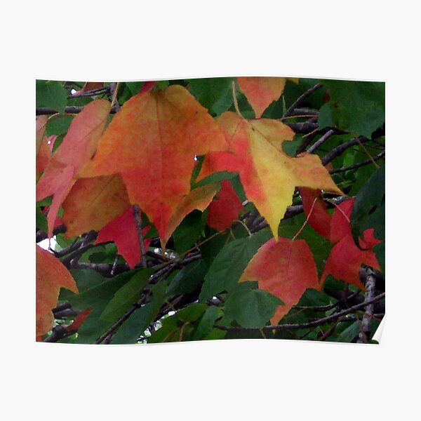 Soon Autumn Poster