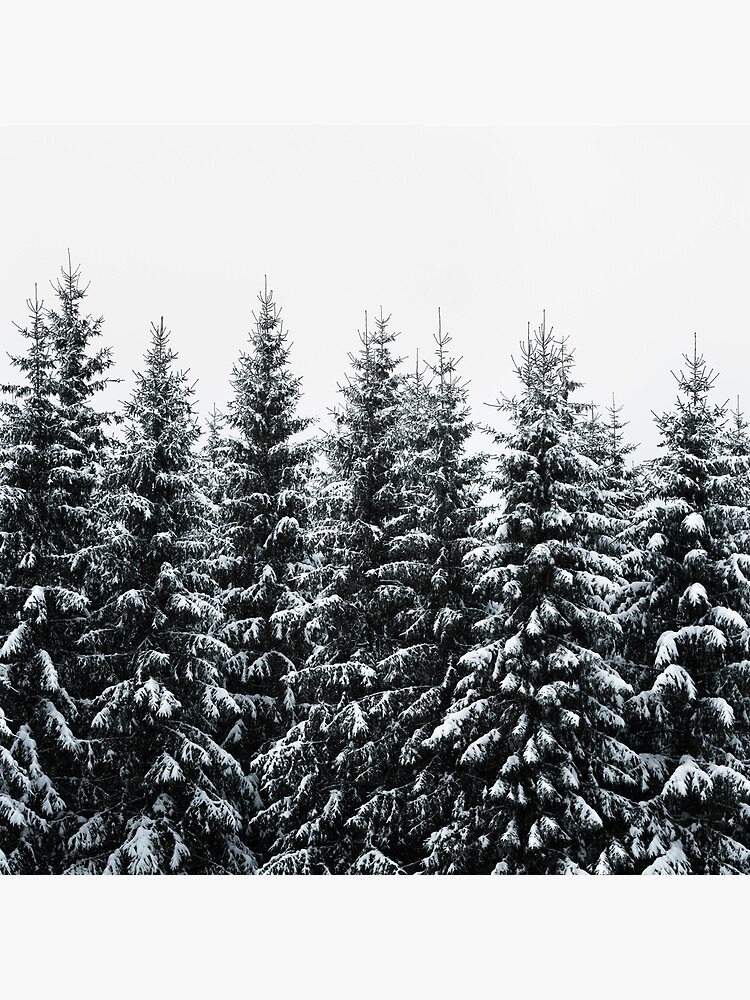Thumbnail 4 of 4, Pillow, The White Bunch // Misty Moody Foggy Milky Winter Wonderland Forest With Cascadia Trees Covered In Magic Fog designed and sold by tekay.