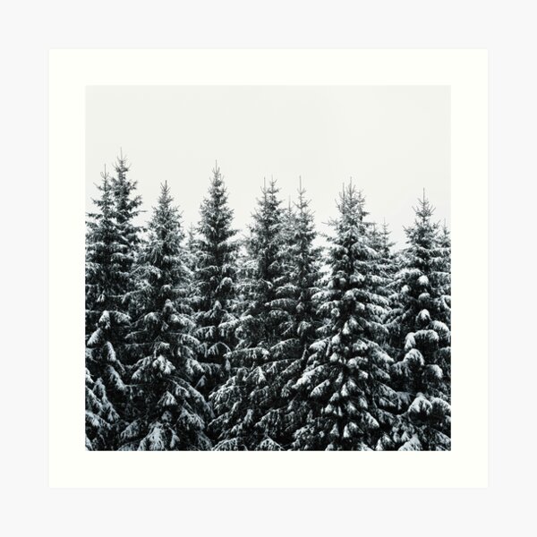 The White Bunch Art Print