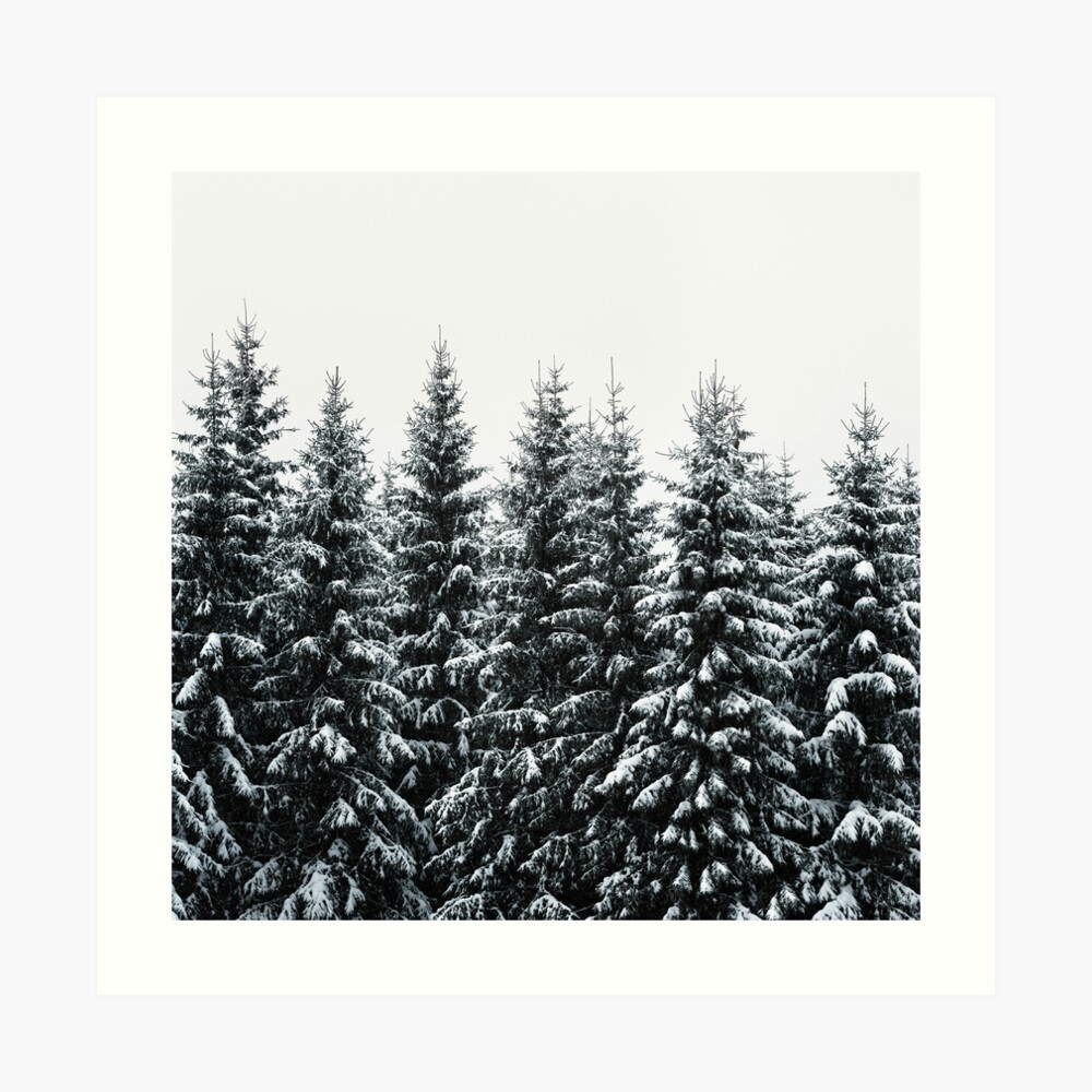 The White Bunch Art Print