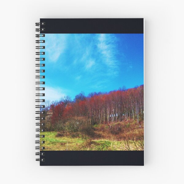 Item preview, AUTUMN IN NEWFIELD, NEW YORK, U.S.A. designed and sold by JoAnnHayden.