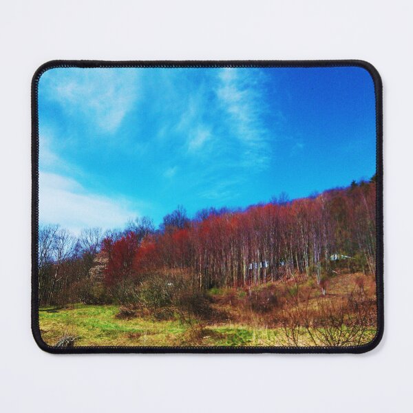 Item preview, AUTUMN IN NEWFIELD, NEW YORK, U.S.A. designed and sold by JoAnnHayden.