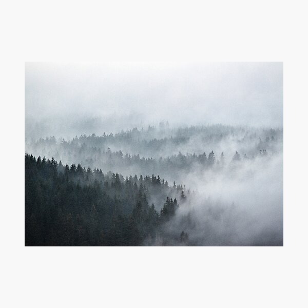 Item preview, The Waves // Misty Landscape Autumn Wilderness Forest With Cascadia Trees Covered In Cold Magic Fog designed and sold by Tordis Kayma.